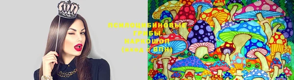 кокаин премиум Алексин