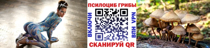 Псилоцибиновые грибы GOLDEN TEACHER где купить Заполярный